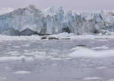 Groenlandia-Est-Ghiacciaio-1