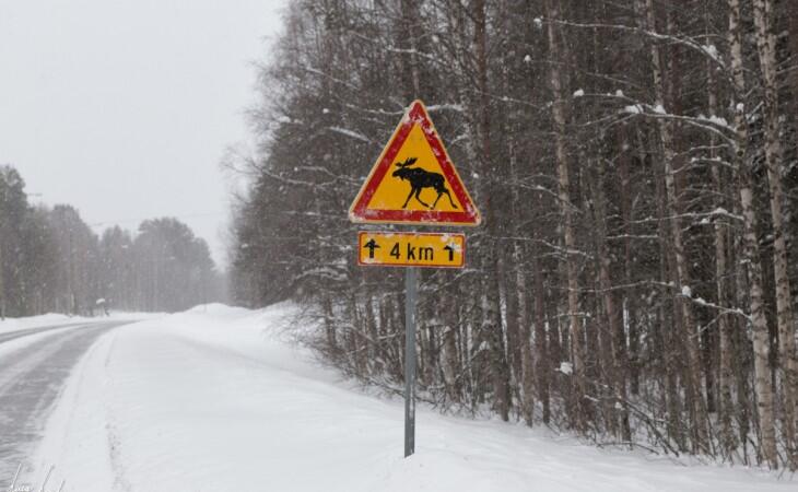 Guidare in Lapponia