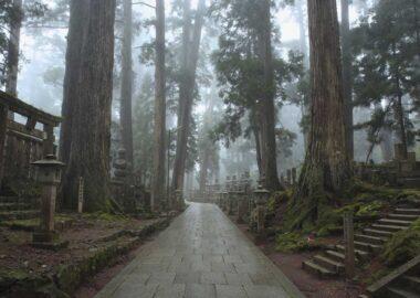 Giappone_Monte_Koya_viale_esterno_giorno_blueberrytravel