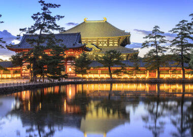 giappone_nara_box_blueberrytravel