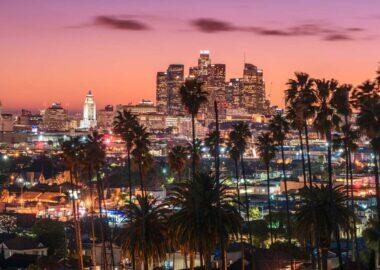 Los Angeles skyline blueberry