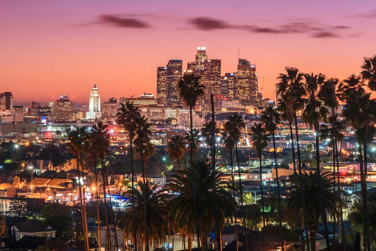 Los Angeles skyline blueberry