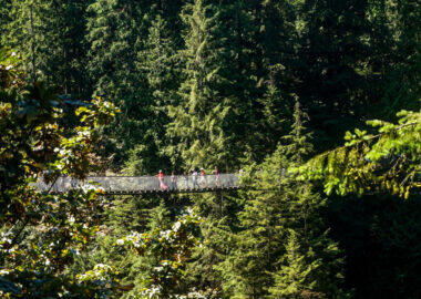 Tour in Canada - Capilano 1