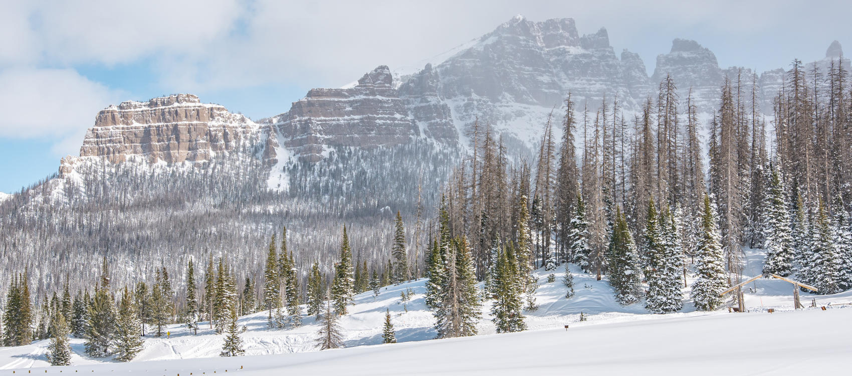 Tour Nord America, parco Yellowstone inverno