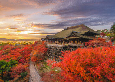 Giappone-kyoto-kyomizudera-blueberry