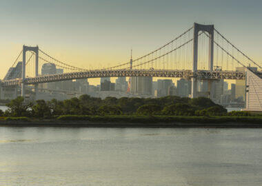 giappone-tokyo-rainbowbridge-blueberry