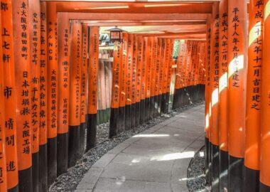 Giappone-fushimiinari1-blueberry