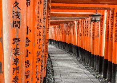 Giappone-fushimiinari2-blueberry