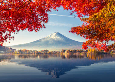 Giappone-montefuji2-blueberry