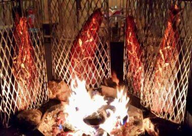 finlandia-lapponia-salmone-blueberry-travel