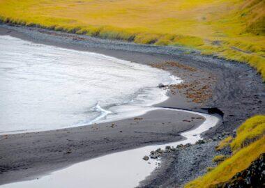 islanda-blueberry-travel (1)