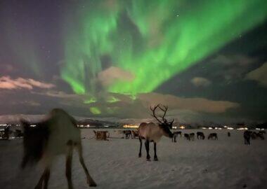 norvegia-tromso-aurora-boreale-blueberry-travel (48)