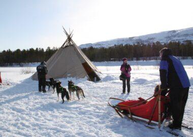 norvegia-tromso-husky-safari-blueberry-travel (22)