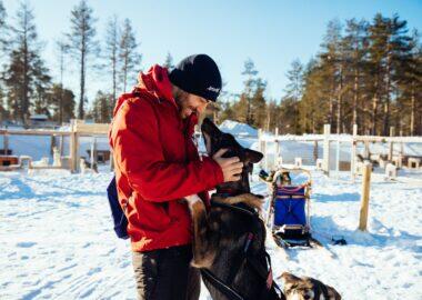 viaggio-lapponia-svedese-blueberry-husky-safari1-around-heart