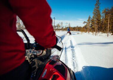 viaggio-lapponia-svedese-blueberry-motoslitta-around-heart