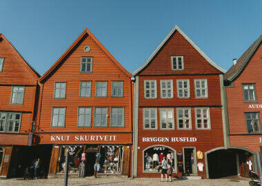 norvegia-bergen-blueberry