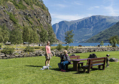 norvegia-fiordi-blueberry