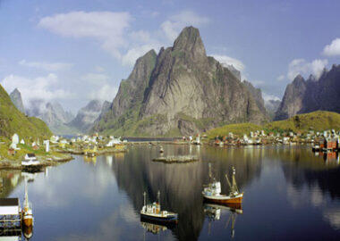 norvegia-lofoten-estate-blueberry