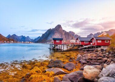 norvegia-lofoten-inverno-blueberry