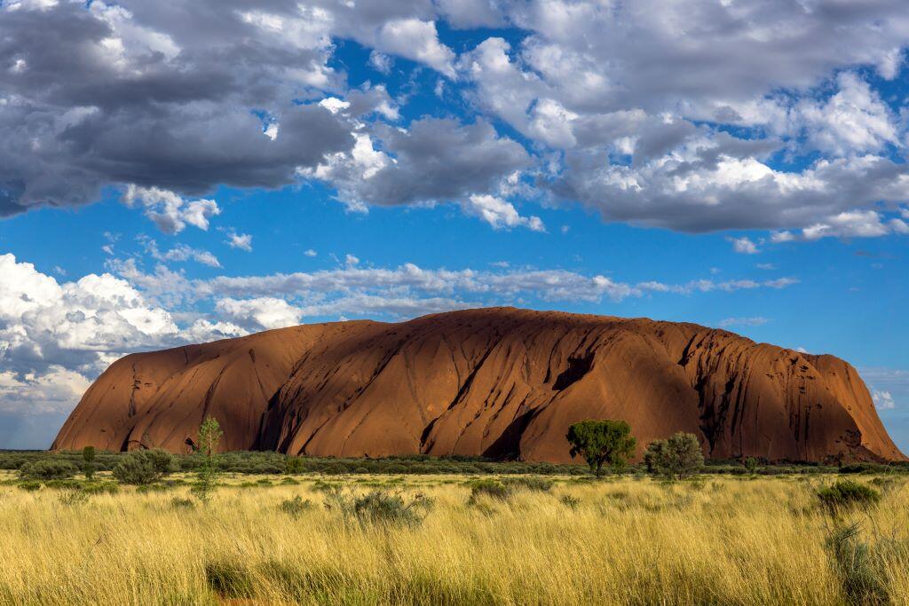 Australia Uluru Blueberry