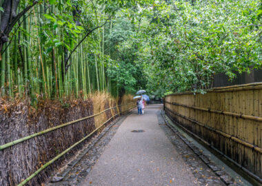 giappone-arashiyama-0618-blueberrytravel-g