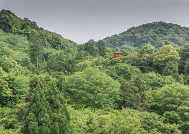 giappone-kyoto-0618-blueberrytravel-g-15