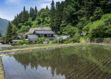 giappone-nakasendo-0618-blueberrytravel-g-11