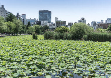 giappone-tokyo-0618-blueberrytravel-g-18