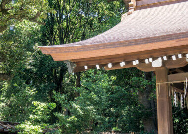 giappone-tokyo-0618-blueberrytravel-g-3