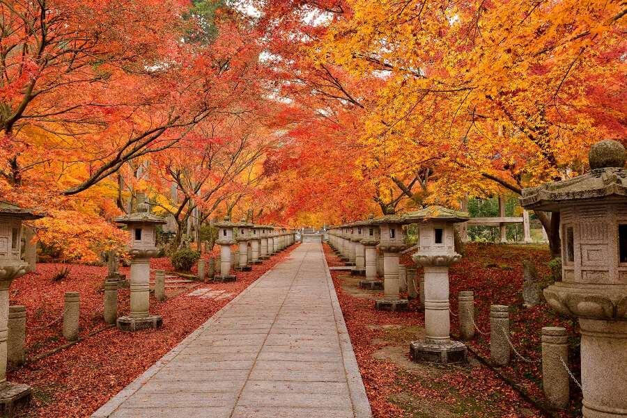 Top 5 dei luoghi per ammirare i colori dell'autunno in Giappone