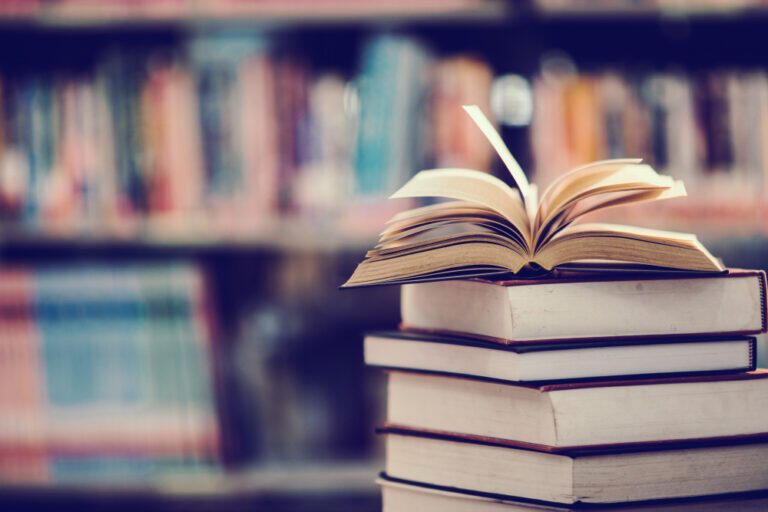 TOP 5 dei libri sul Giappone