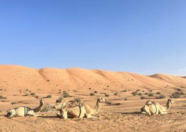 viaggio-oman-blueberry-travel (61)