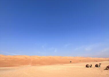 viaggio-oman-blueberry-travel (77)