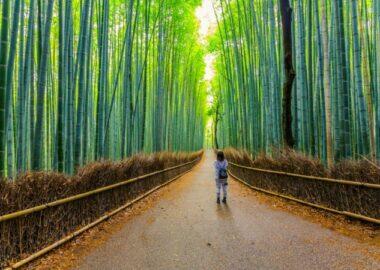 visitare_giappone_arashiyama_blueberrytravel