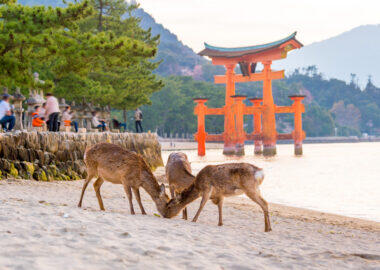 giappone-miyajima-hiroshima4