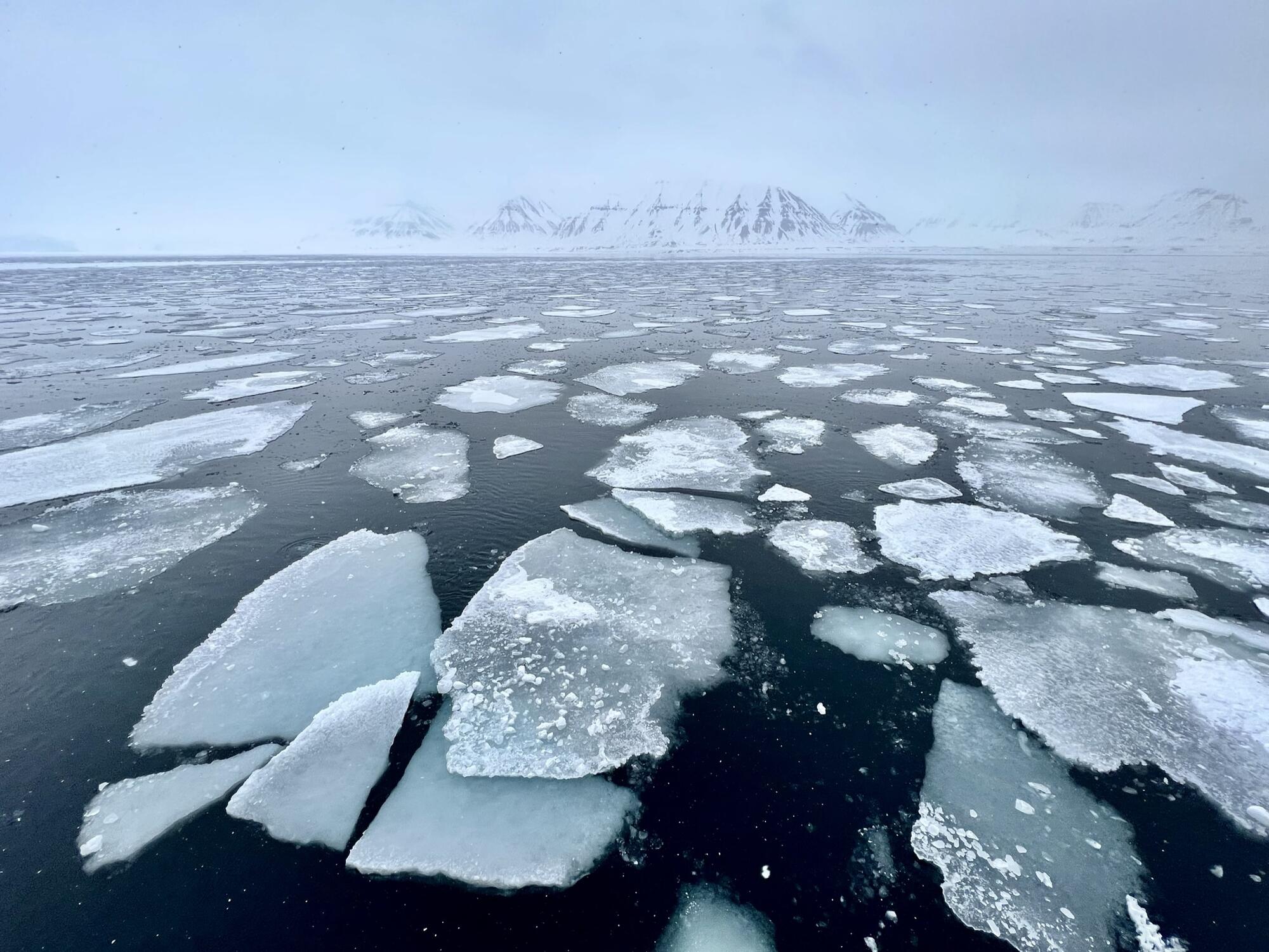 Viaggio al Polo Nord, ghiaccio alla deriva al largo delle Svalbard