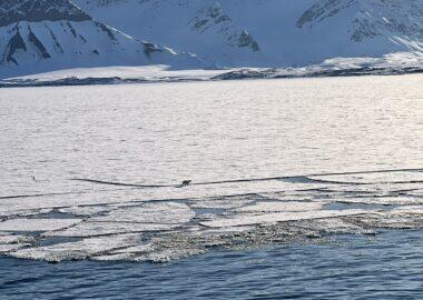 navigazione svalbard 2