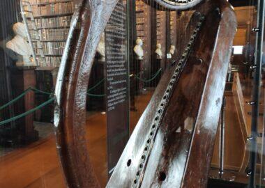 viaggi-irlanda-blueberry (2)