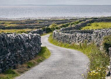 Tour Irlanda, piccola strada di campagna, blueberry travel