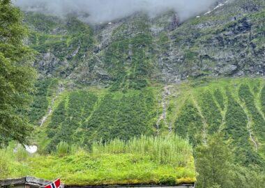 viaggio-norvegia-blueberry-fiordi (19)