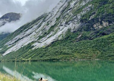 viaggio-norvegia-blueberry-fiordi (20)