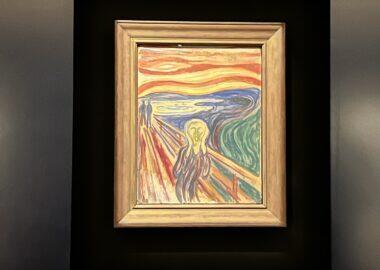 viaggio-norvegia-blueberry-oslo (3)