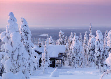 finlandia-lapponia-foresta-innevata-03-blueberrytravel