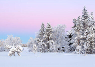 finlandia-lapponia-foresta-innevata-05-blueberrytravel