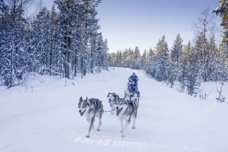 5 attività da fare in Lapponia