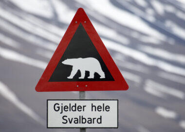 svalbard-cartello-orso-polare-01-blueberrytravel