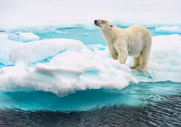 Interview “Life on Svalbard”