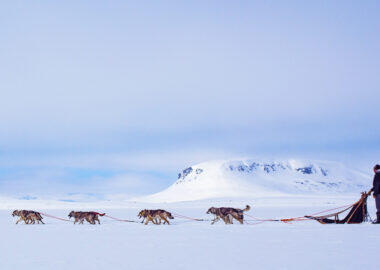 Aurora-lapponia_harriniva_husky_safari-blueberrytravel