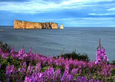 Canada_percerock_box_blueberrytravel