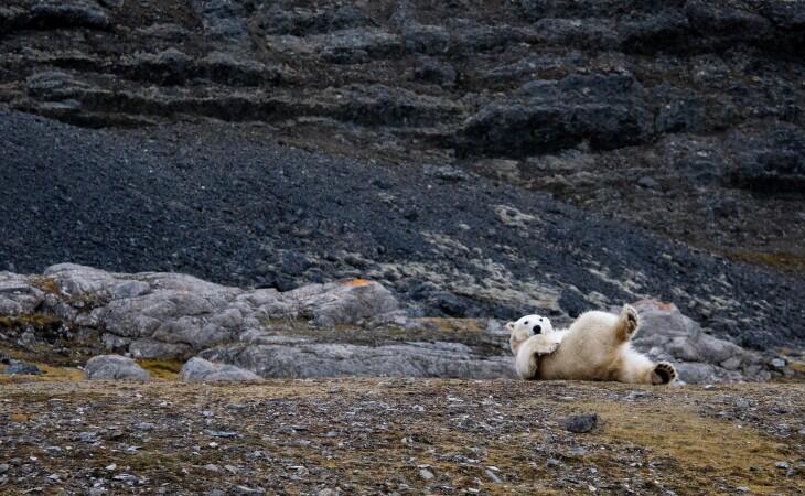 Norvegia cosa vedere